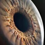 474691413_10162283191923774_6415094005189824521_n